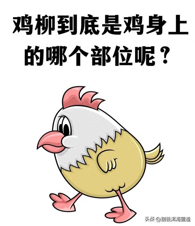 一张票能买一辆路虎揽胜,尼克斯G4主场在售票最高价为15万美元